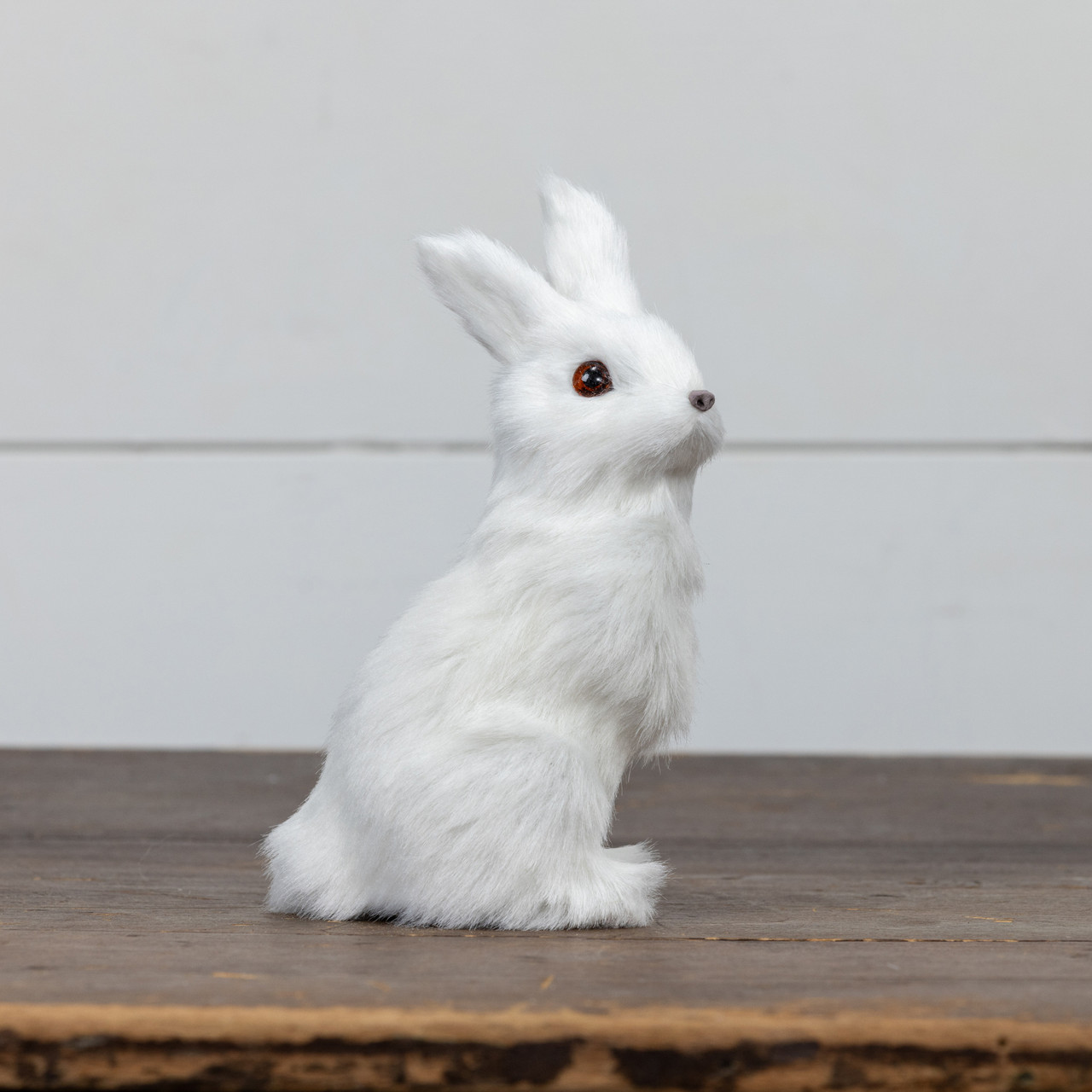 WHITE BUNNY - Ragon House