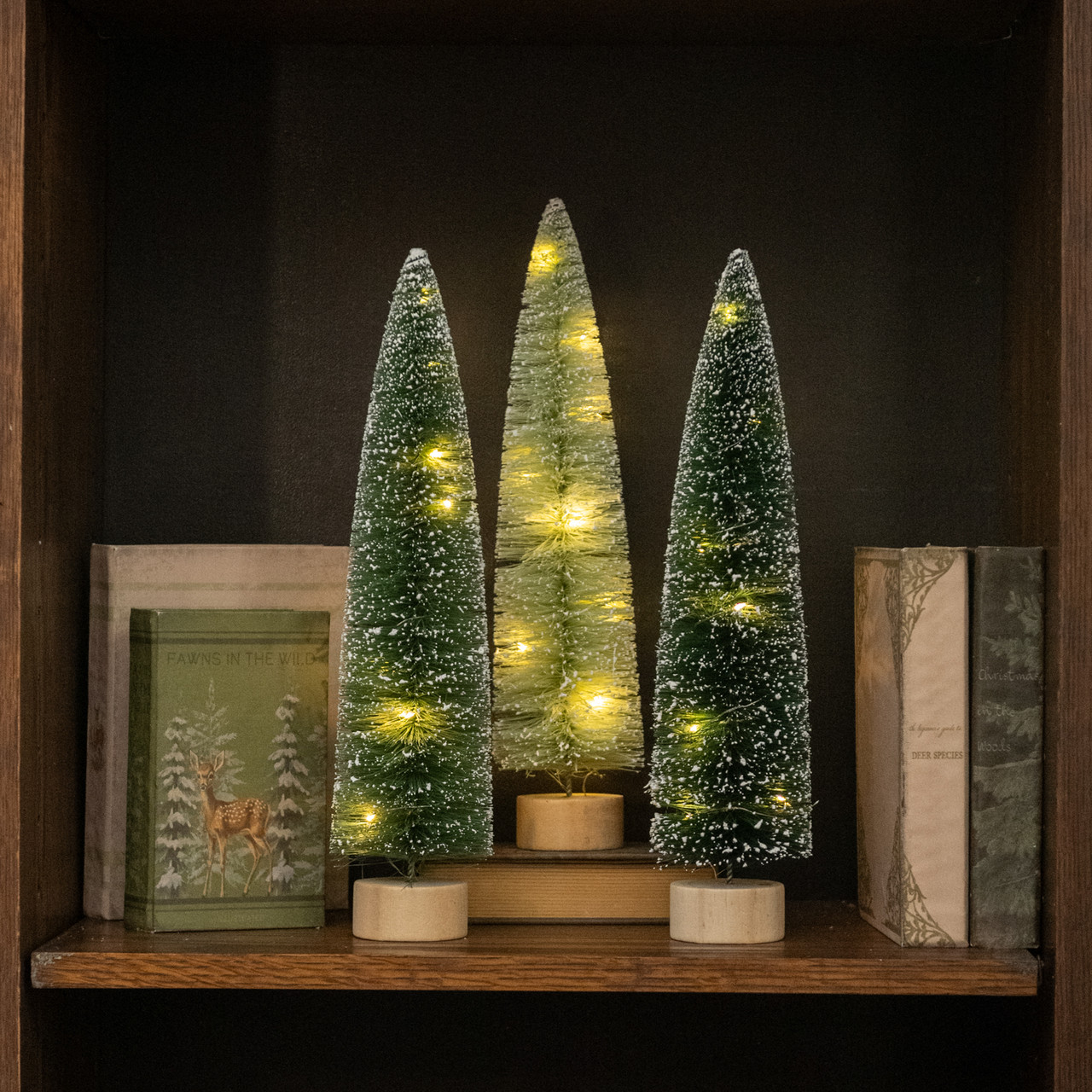 SET/ 3 - 15" LIGHTED GREEN BOTTLEBRUSH TREES