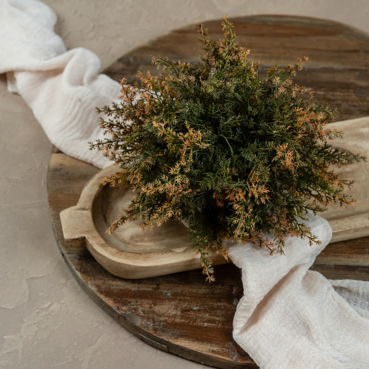 10" MONTEREY CYPRESS HALF BALL