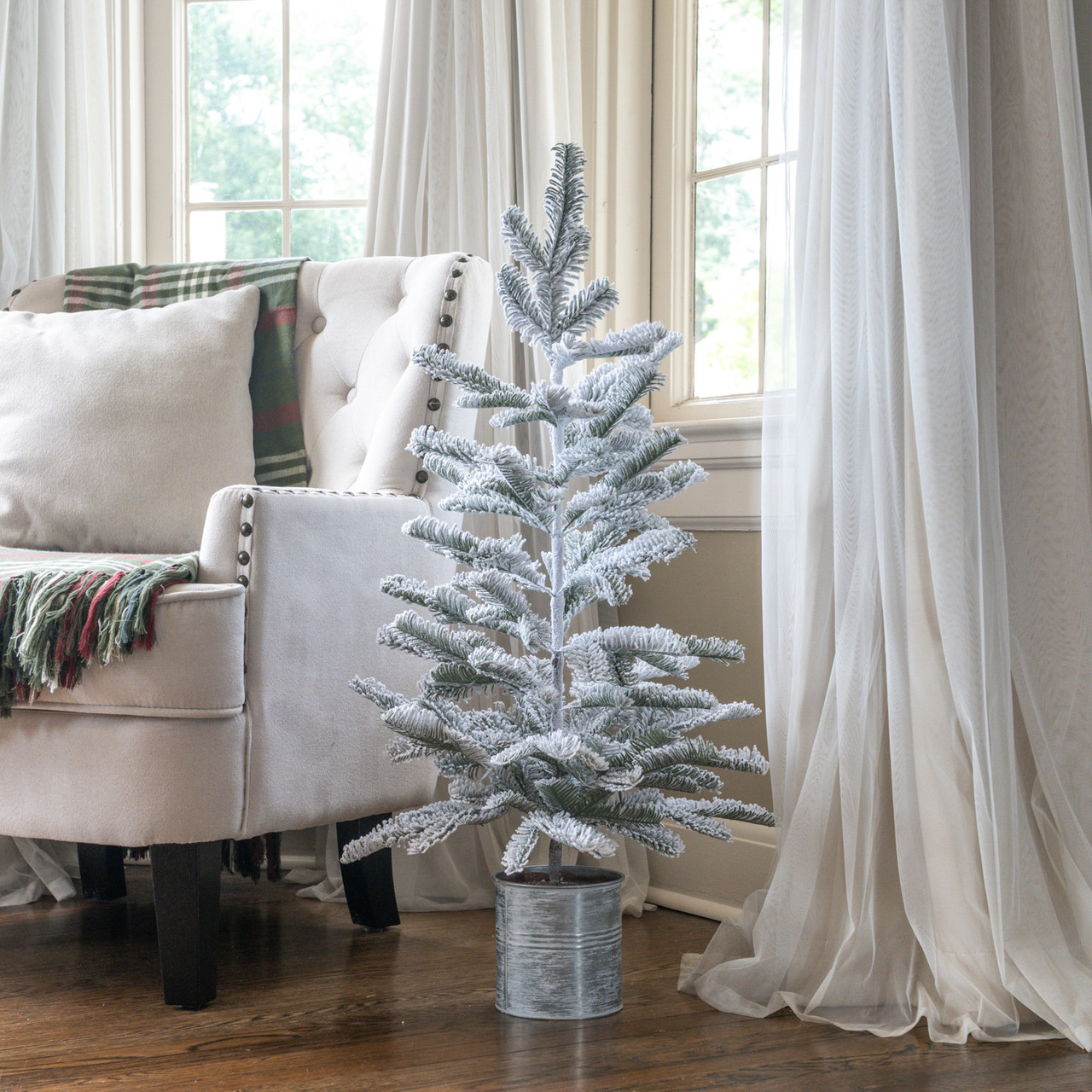 3' SNOWY HEMLOCK TREE