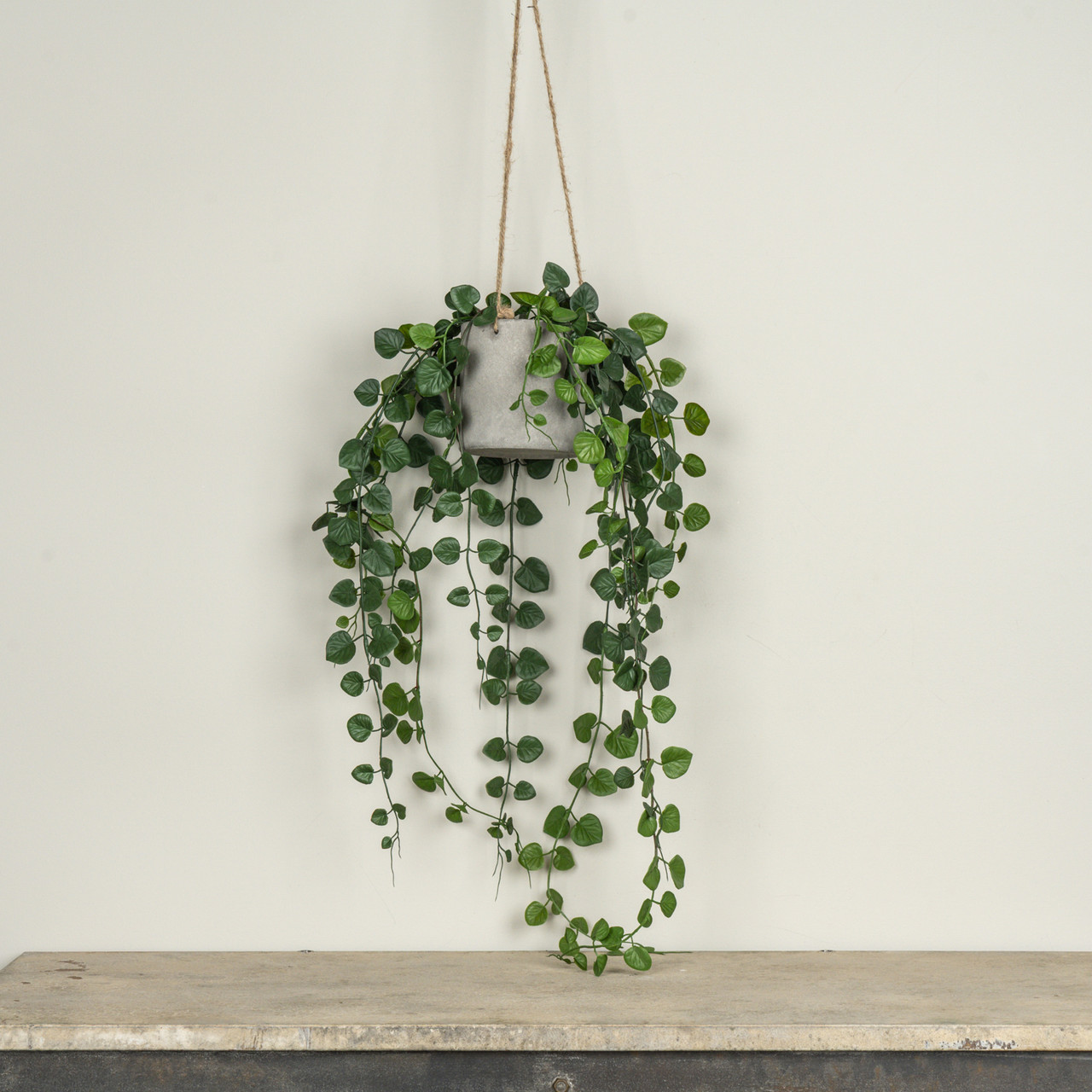 29" HANGING POTTED BUTTON FERN