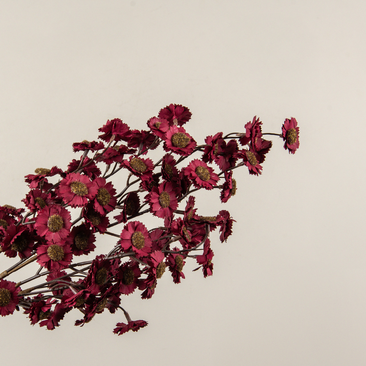 22" BURGUNDY MINI DAISY BUSH
