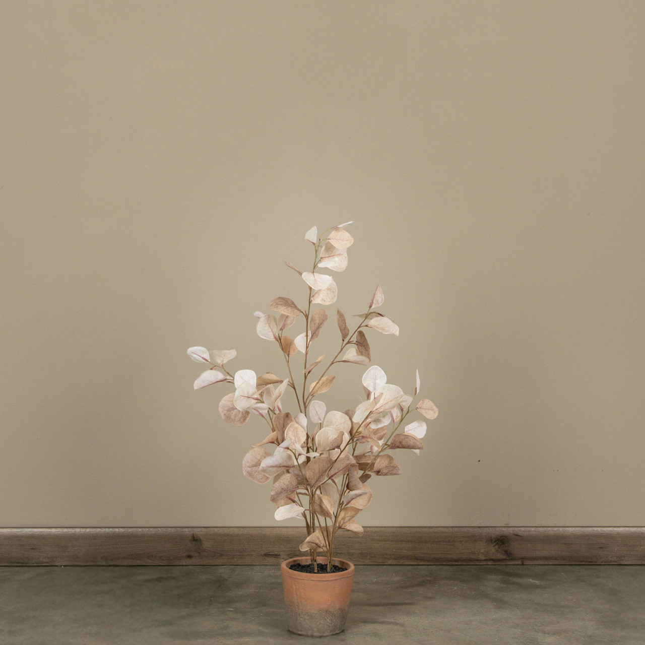 30.75" BROWN EUCALYPTUS TREE