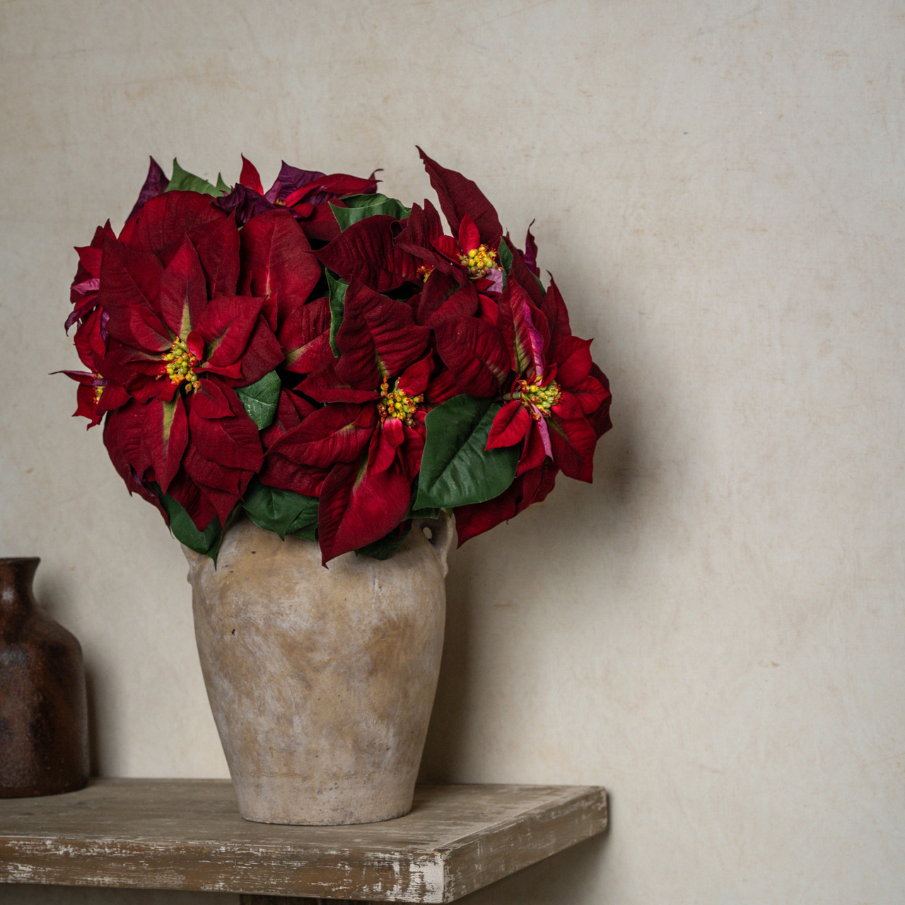 24" BURGUNDY POINSETTIA BUSH