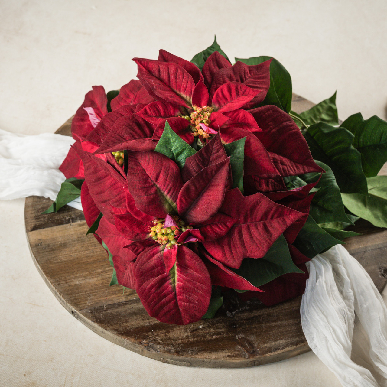 24" BURGUNDY POINSETTIA BUSH