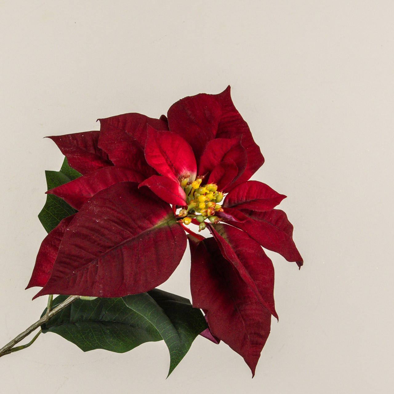 28" BURGUNDY POINSETTIA STEM