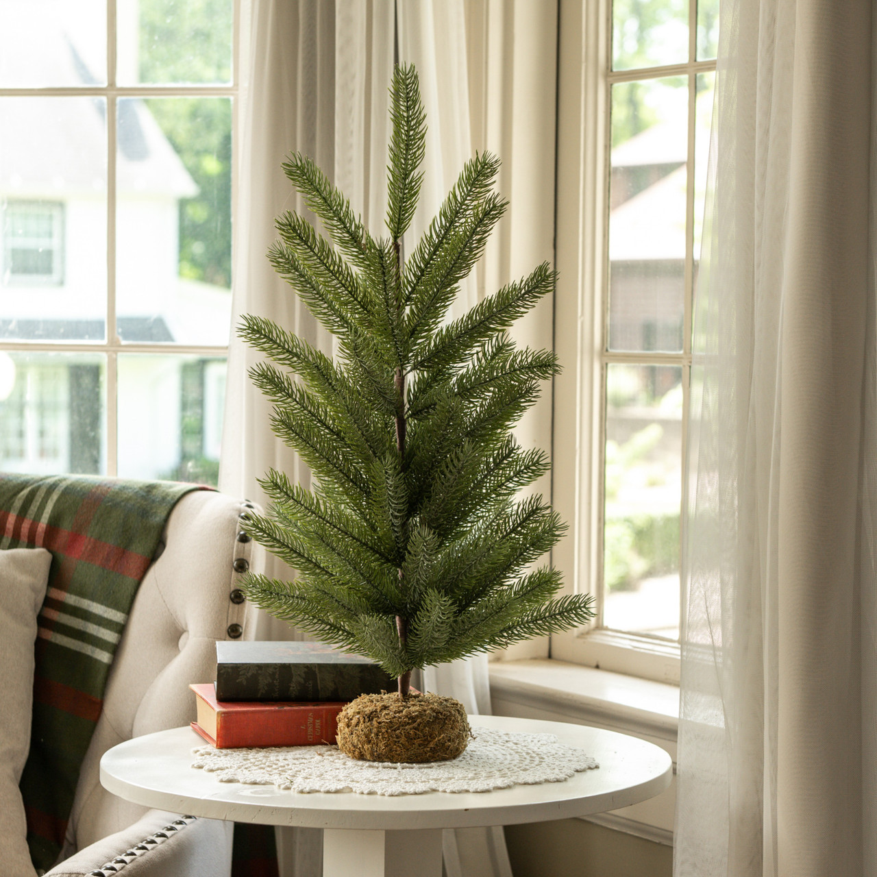 24" EASTERN SPRUCE PINE TREE W/ MOSS BASE