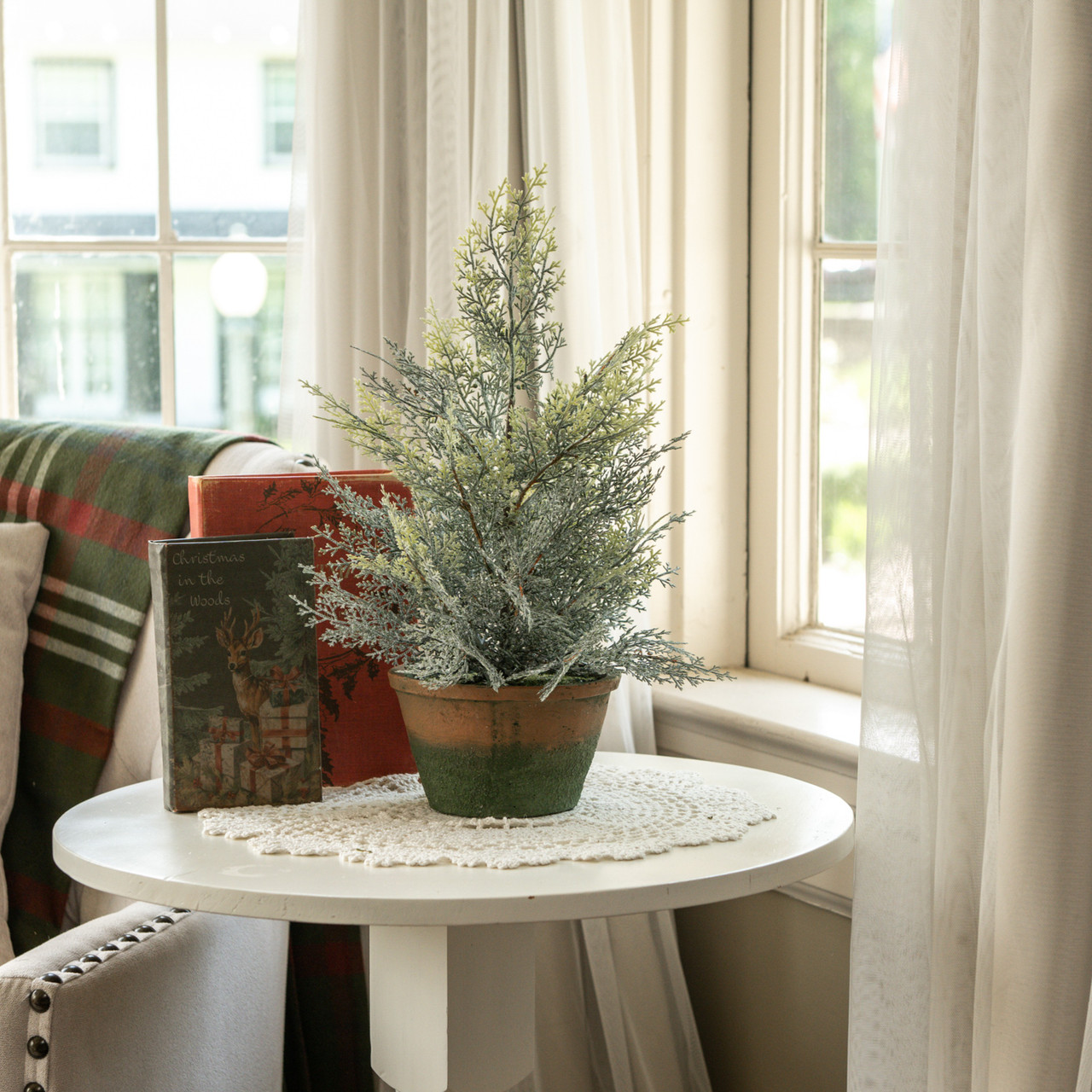17" DUSTY CEDAR PINE TREE IN POT