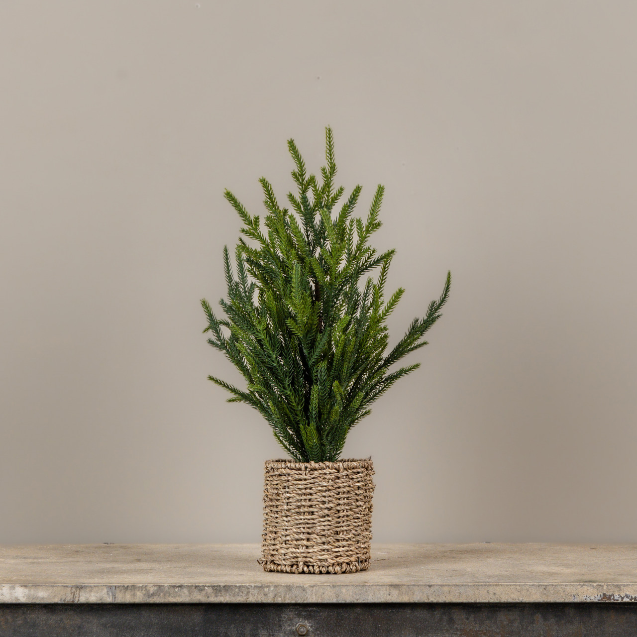 19" AUSTRIAN PINE TREE IN BASKET