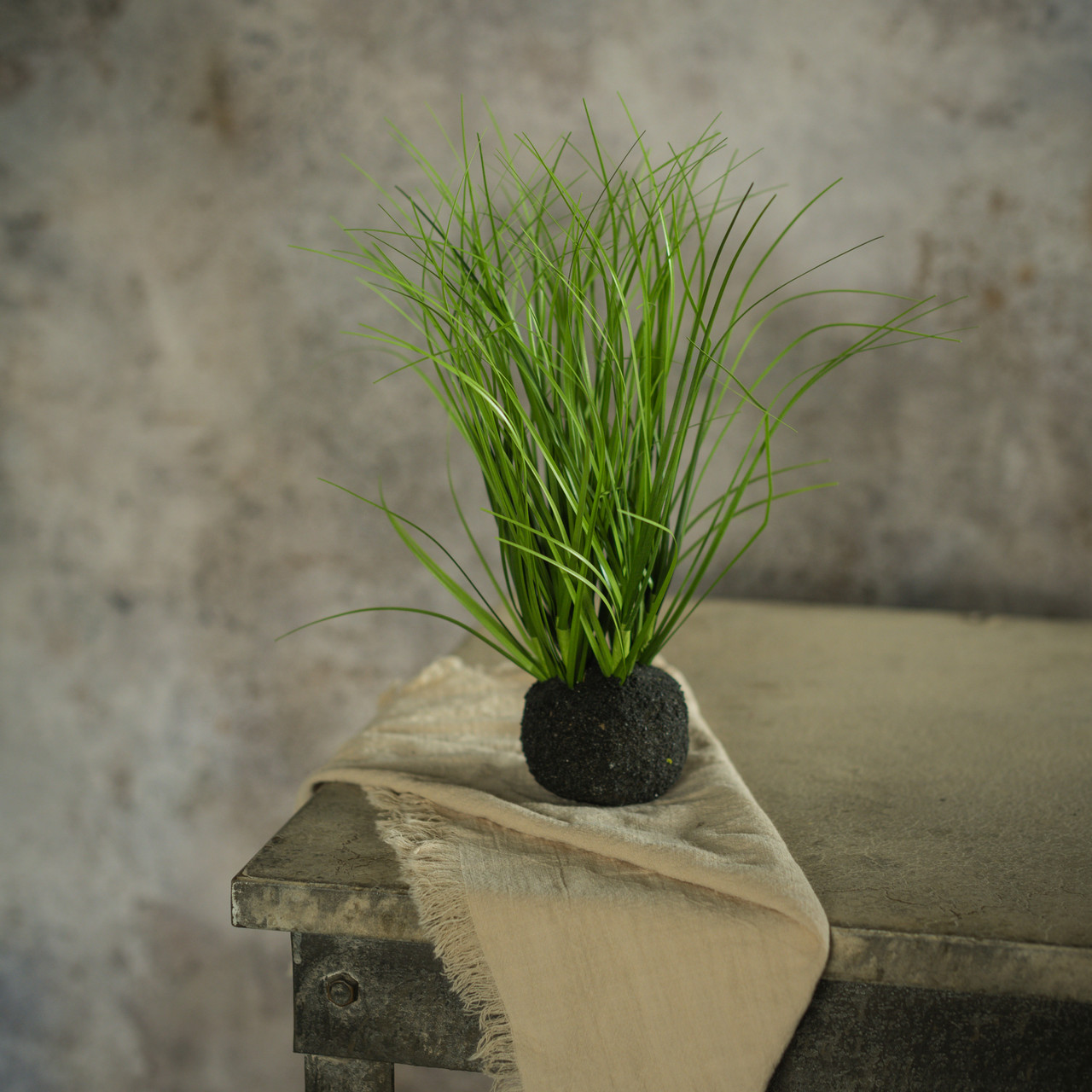 10" WILD ONION GRASS BULB