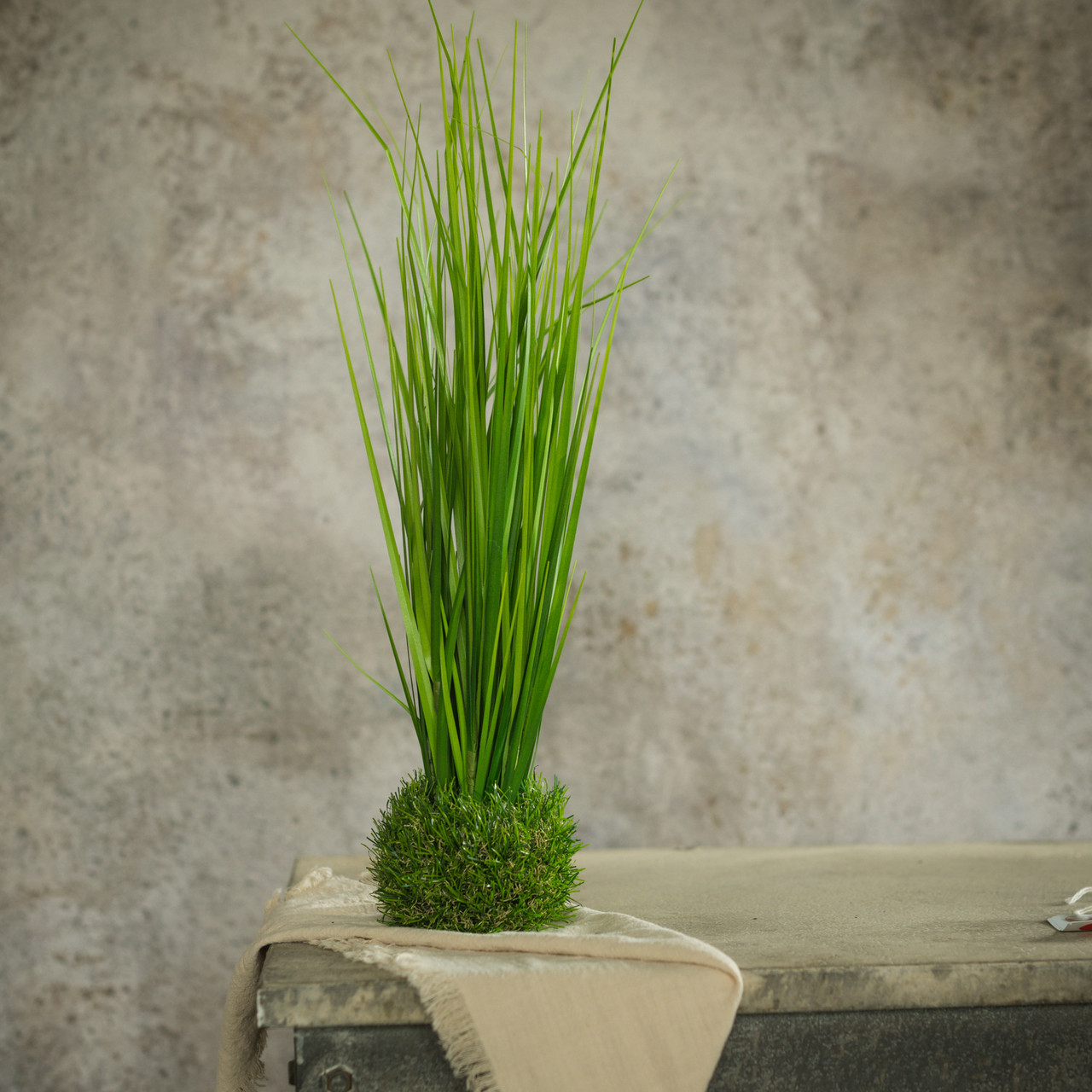19.75" ONION GRASS IN GRASS BASE
