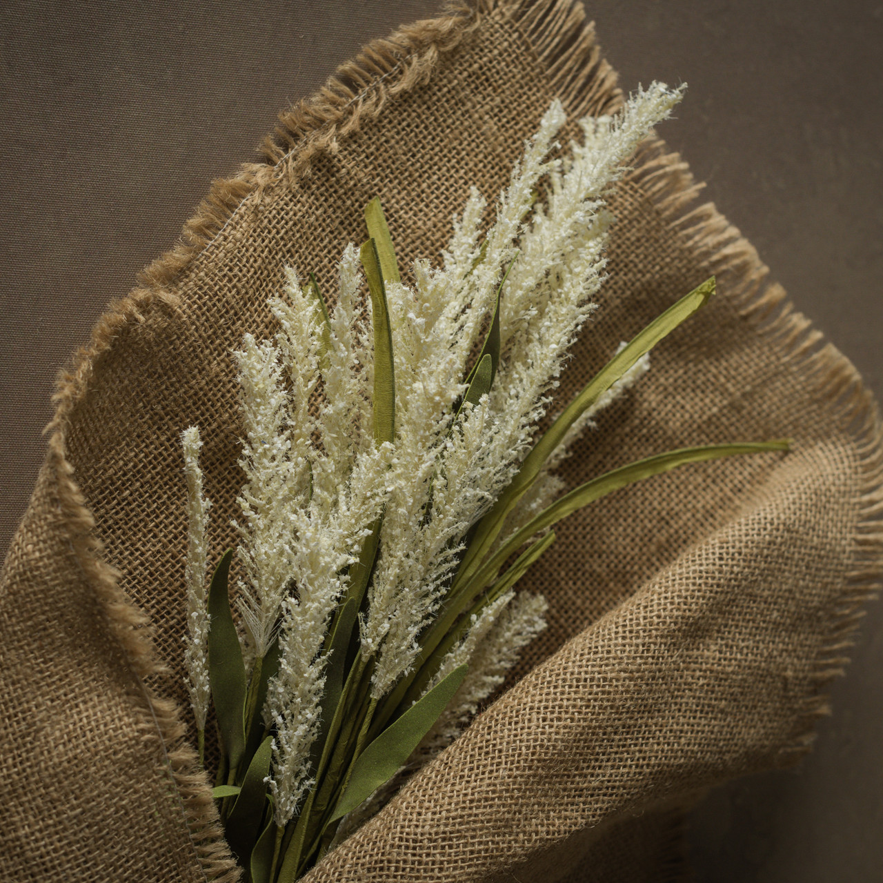 20" CREAM MINI PAMPAS GRASS BUSH