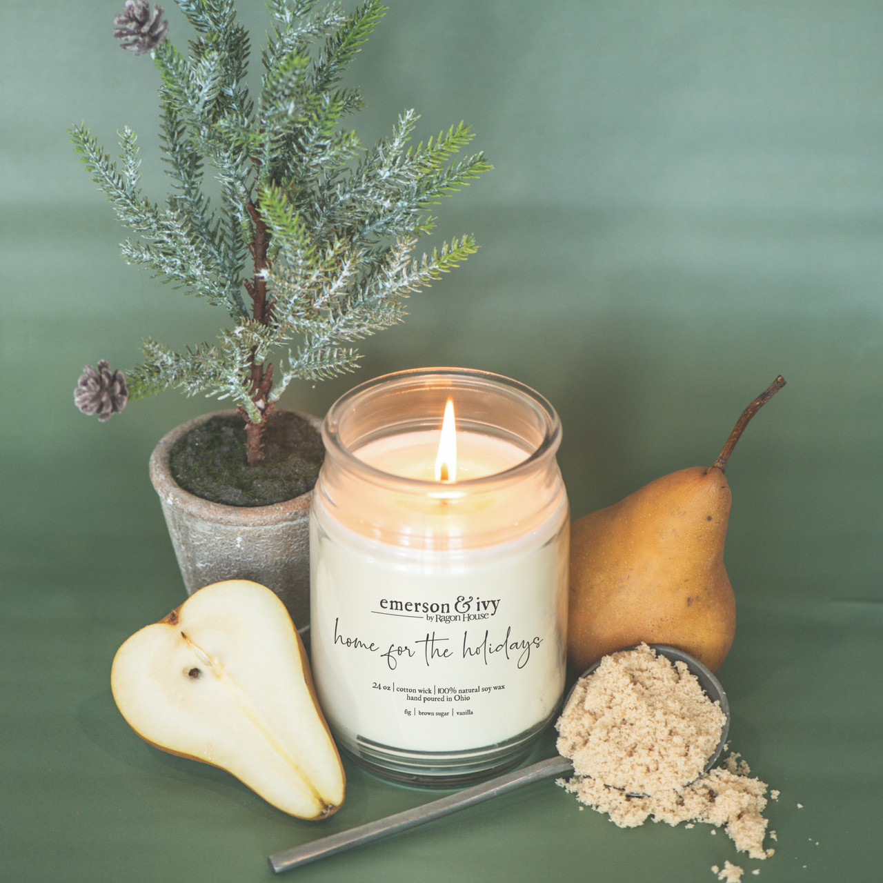 Bear-omones: The Candle of Rain-Soaked Woods & Playful Spices