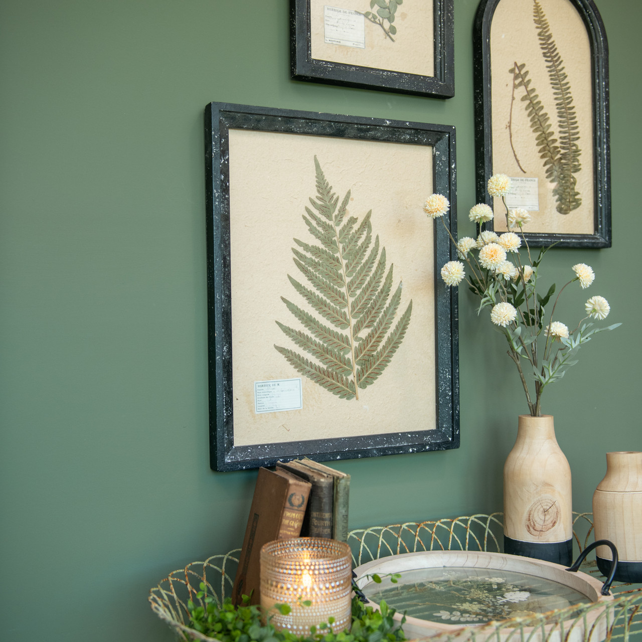 19.75" PRESSED FERN W/ BLACK FRAME