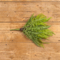 20" MIXED FERN BUSH