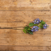 45" CREAM & PURPLE CONE HYDRANGEA SPRAY