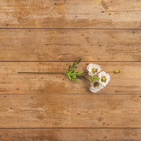 27" WHITE POPPY SPRAY