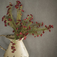 29" BURGUNDY WAXFLOWER SPRAY