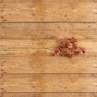 40" MAUVE APPLE BLOSSOM SPRAY