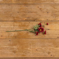 21" BURGUNDY DAISY SPRAY