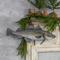 24" COD FISH