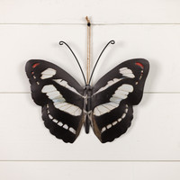 12" BLACK & WHITE BUTTERFLY
