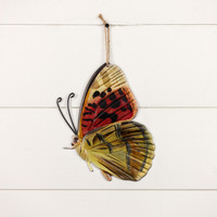 10" WHEAT BUTTERFLY