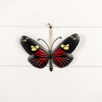 10" BLACK & ORANGE BUTTERFLY