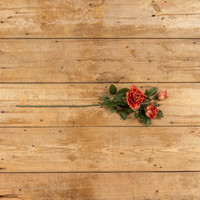 31" RUST ROSE SPRAY