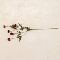 29.75" BURGUNDY COREOPSIS SPRAY