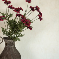 29.75" BURGUNDY COREOPSIS SPRAY