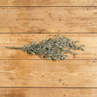 27" FROSTED MISTLETOE HANGING BUSH
