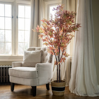 5' FALL MAPLE LEAF TREE