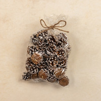 BAG OF SNOWY PINECONES