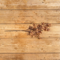 29" DRY BOXWOOD SPRAY
