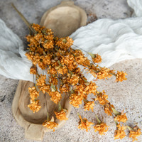 23" TANGERINE WILD MUM BUSH