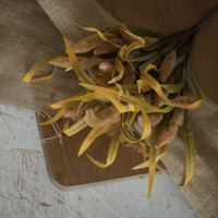 19" COFFEE FOXTAIL BUSH