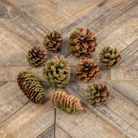 PINECONE, MOSS & SEQUIN BOWL FILLER
