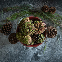 PINECONE, MOSS & SEQUIN BOWL FILLER