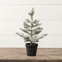 15.75" SNOWY PINE W/ PLASTIC POT