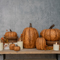 2.75" TERRACOTTA SHORT PUMPKIN