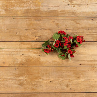 30" RED GERANIUM SPRAY