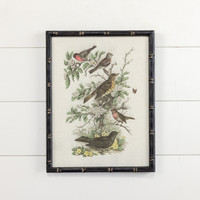 BIRDS IN THE GARDEN PRINT W/ BLACK FRAME