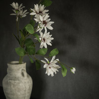 33" WHITE DAISY SPRAY