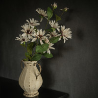 33" LIGHT PINK DAISY SPRAY