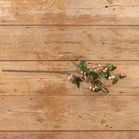31" PINK BERRY SPRAY