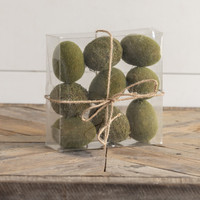 SET/ 9 BOXED MOSSY EGGS