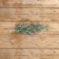 32" ENGLISH BOXWOOD HANGING BUSH