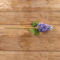 32" PURPLE CONE HYDRANGEA STEM