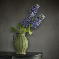 32" PURPLE CONE HYDRANGEA STEM